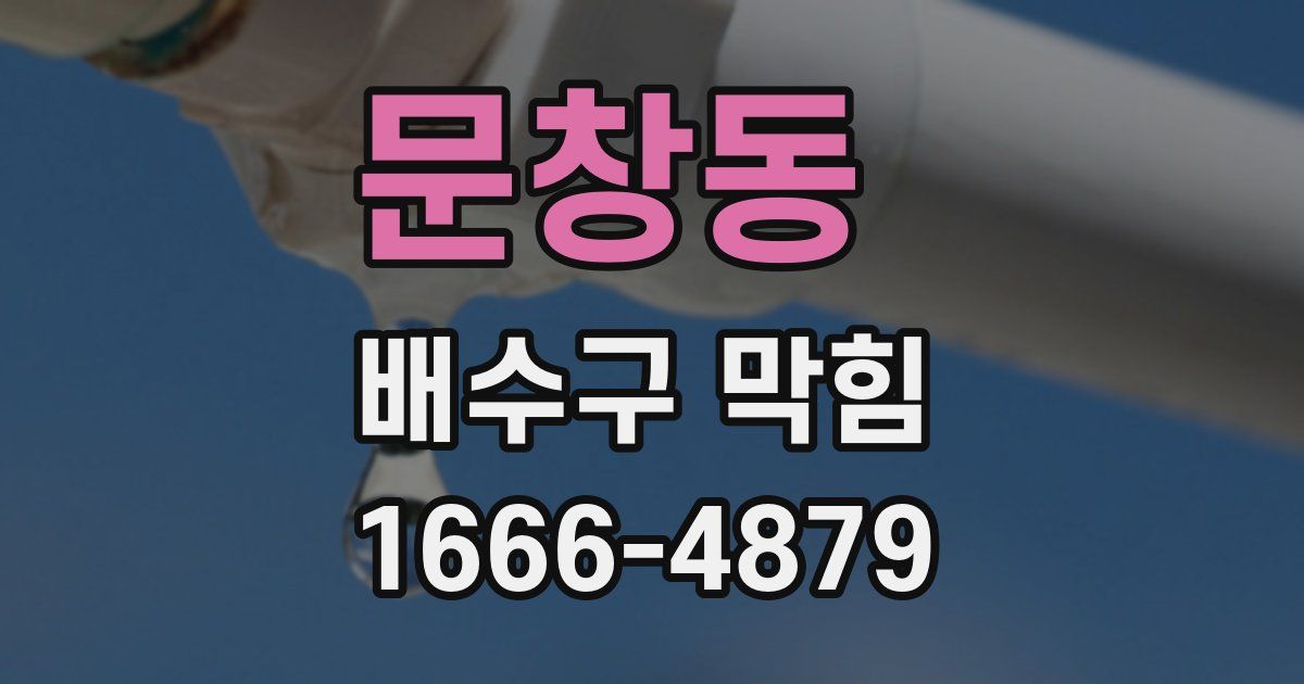 문창동 배수구 막힘