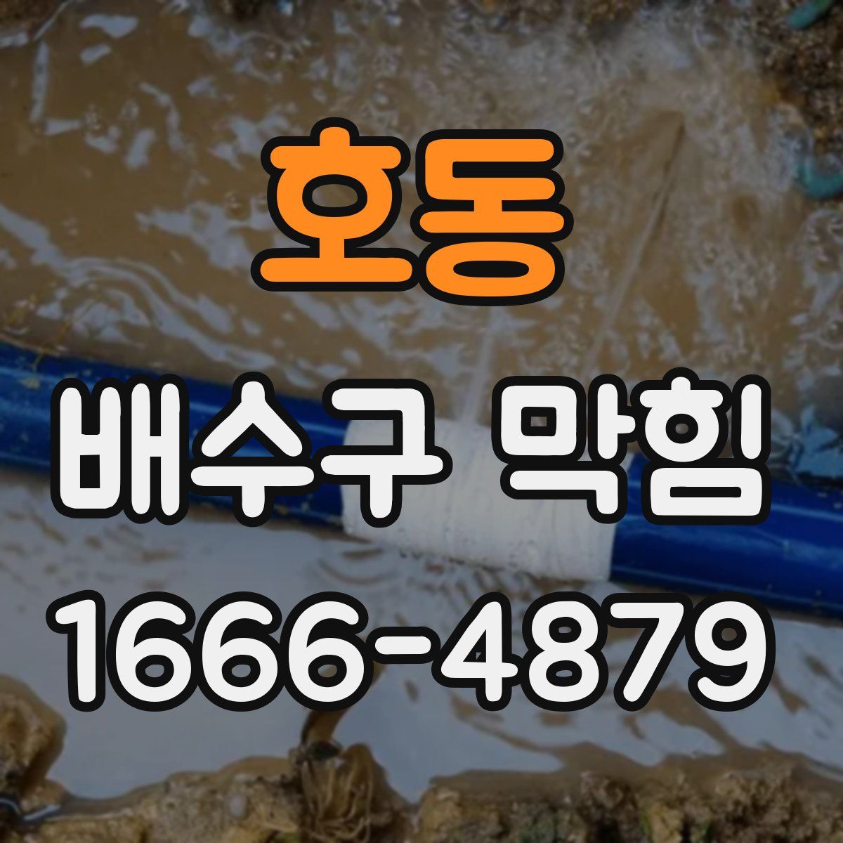 호동 배수구 막힘
