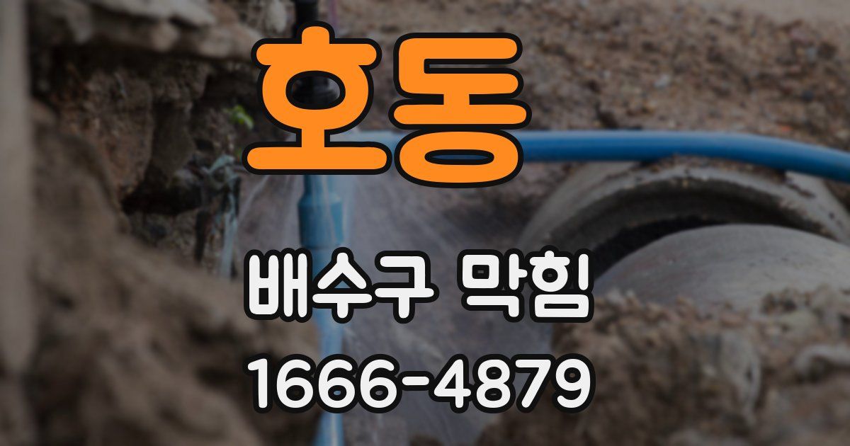 호동 배수구 막힘
