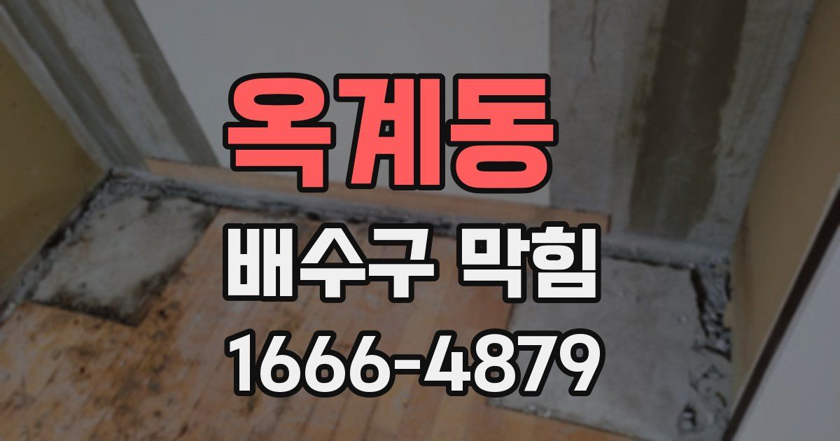 옥계동 배수구 막힘