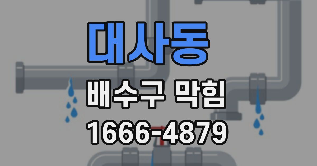 대사동 배수구 막힘