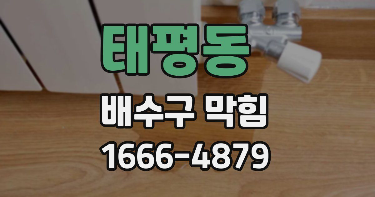 태평동 배수구 막힘