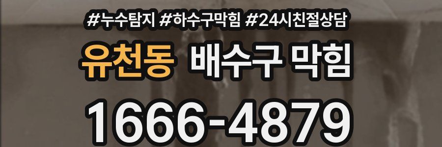 유천동 배수구 막힘