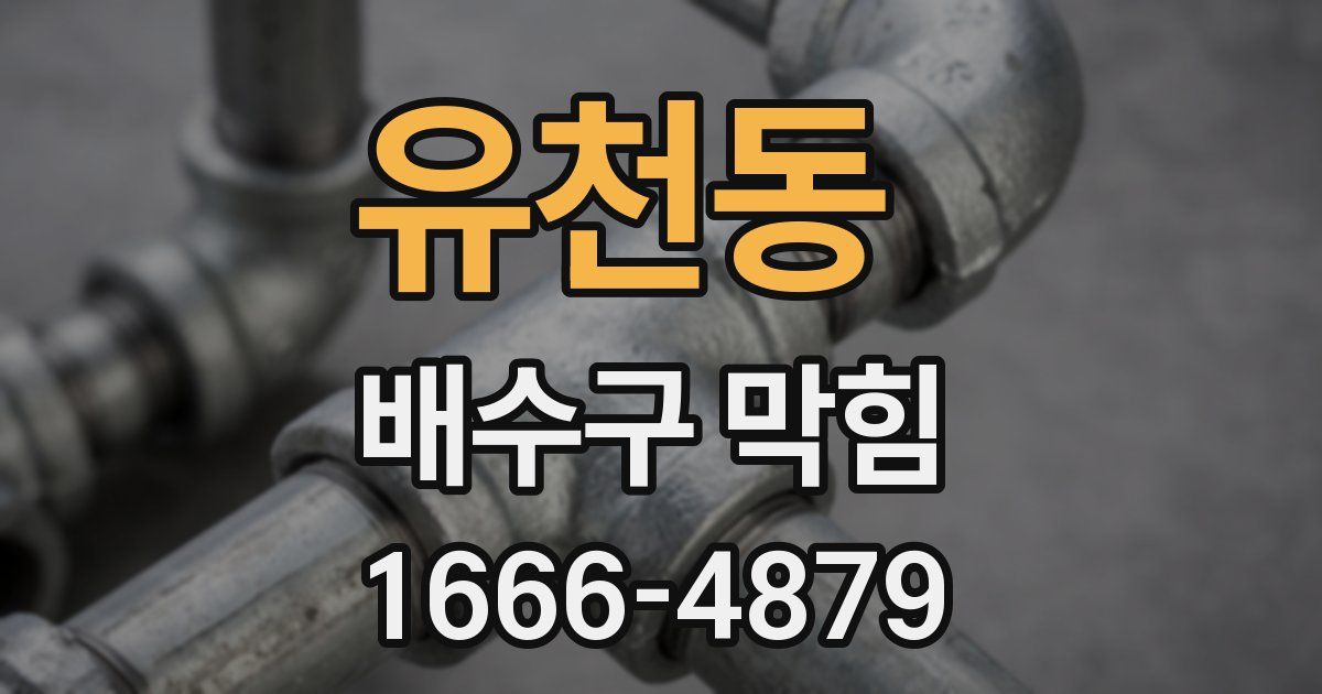 유천동 배수구 막힘