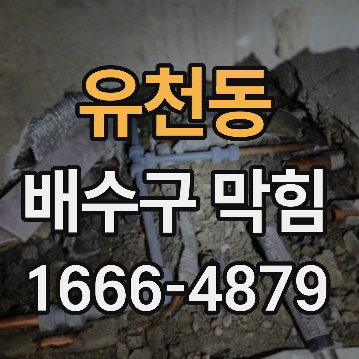 유천동 배수구 막힘