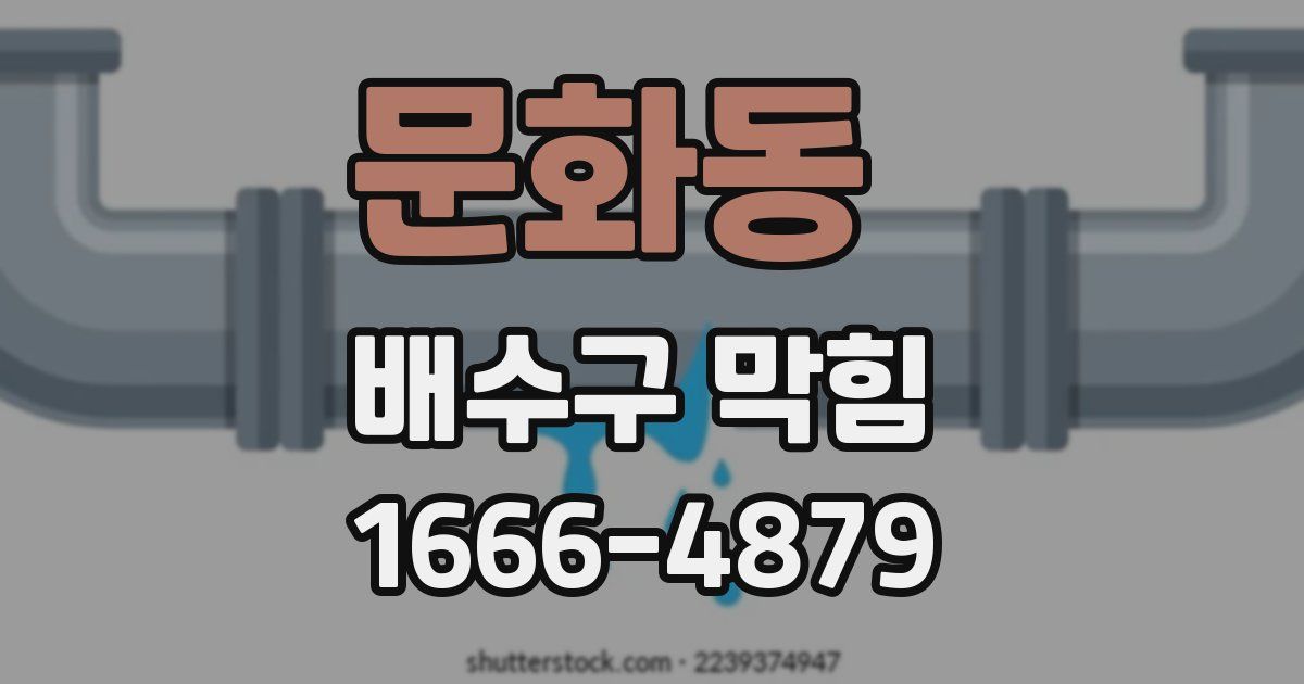 문화동 배수구 막힘