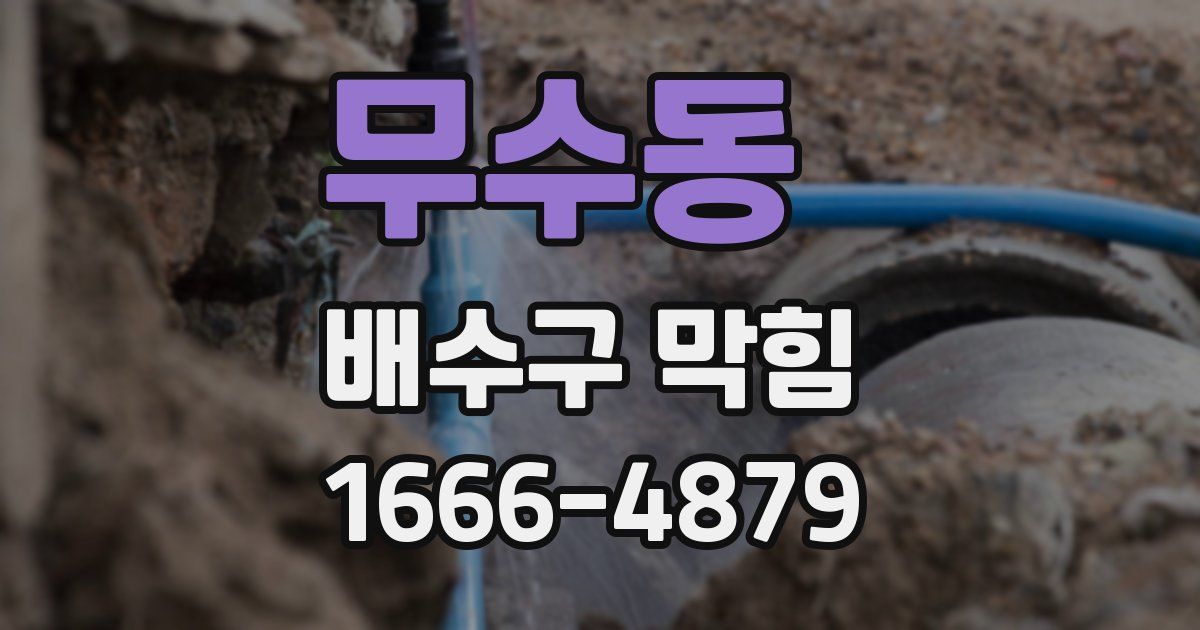 무수동 배수구 막힘
