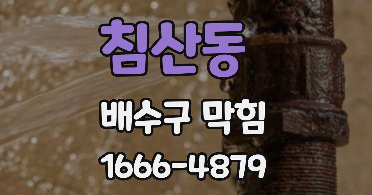 침산동 배수구 막힘
