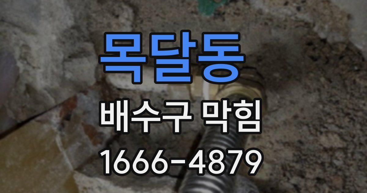 목달동 배수구 막힘