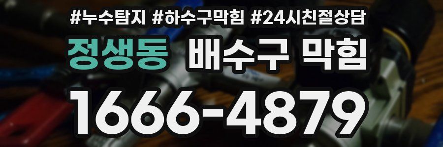 정생동 배수구 막힘