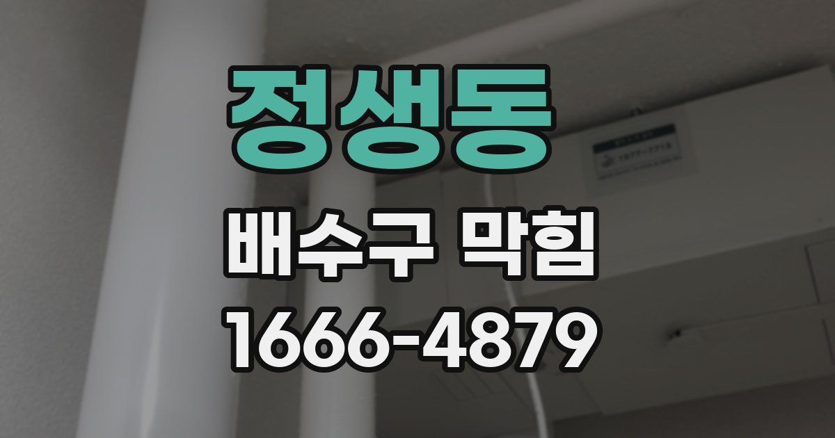 정생동 배수구 막힘