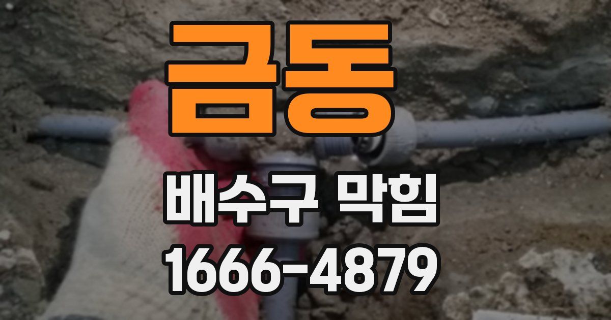 금동 배수구 막힘