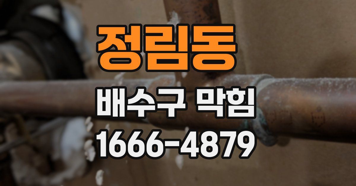 정림동 배수구 막힘