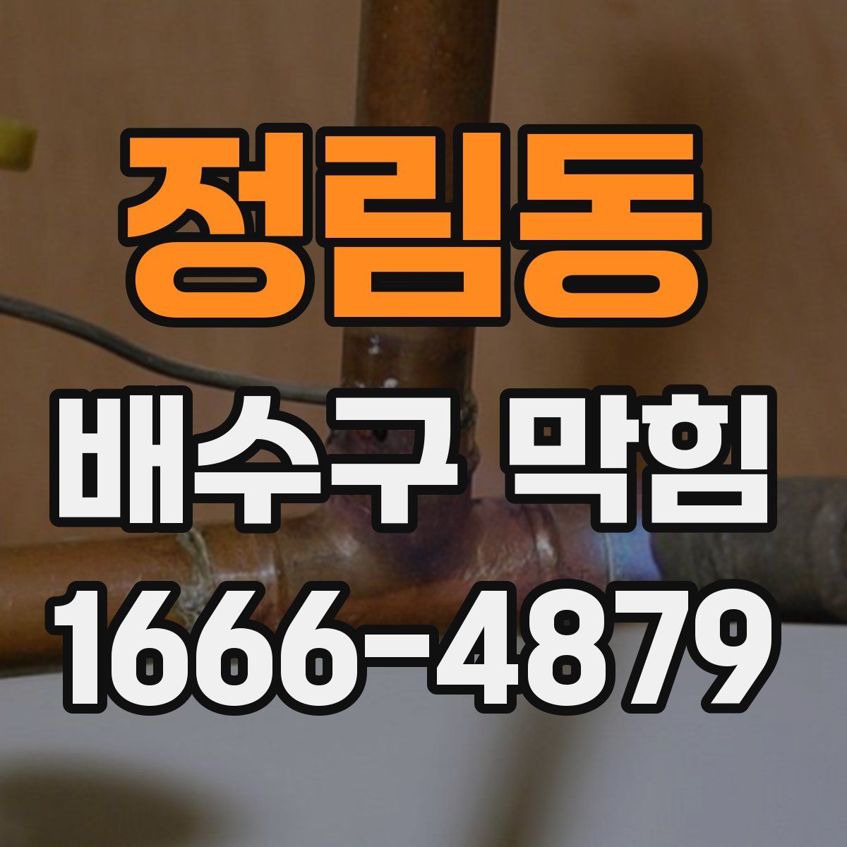 정림동 배수구 막힘