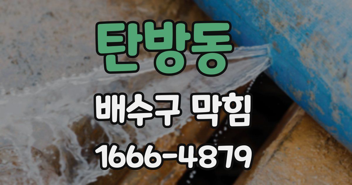탄방동 배수구 막힘