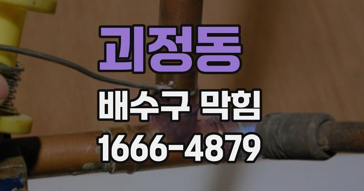 괴정동 배수구 막힘