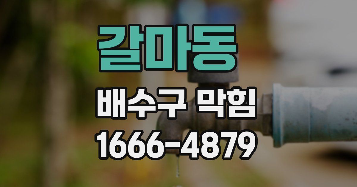 갈마동 배수구 막힘