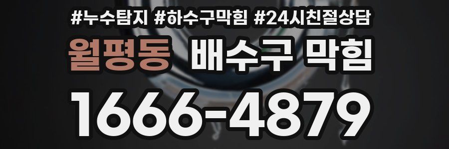 월평동 배수구 막힘