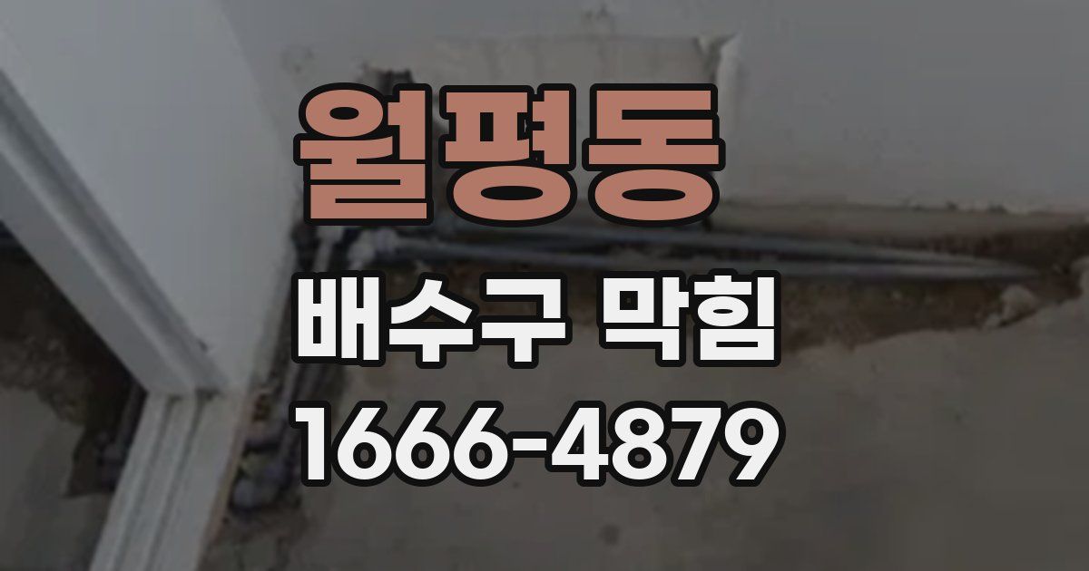 월평동 배수구 막힘