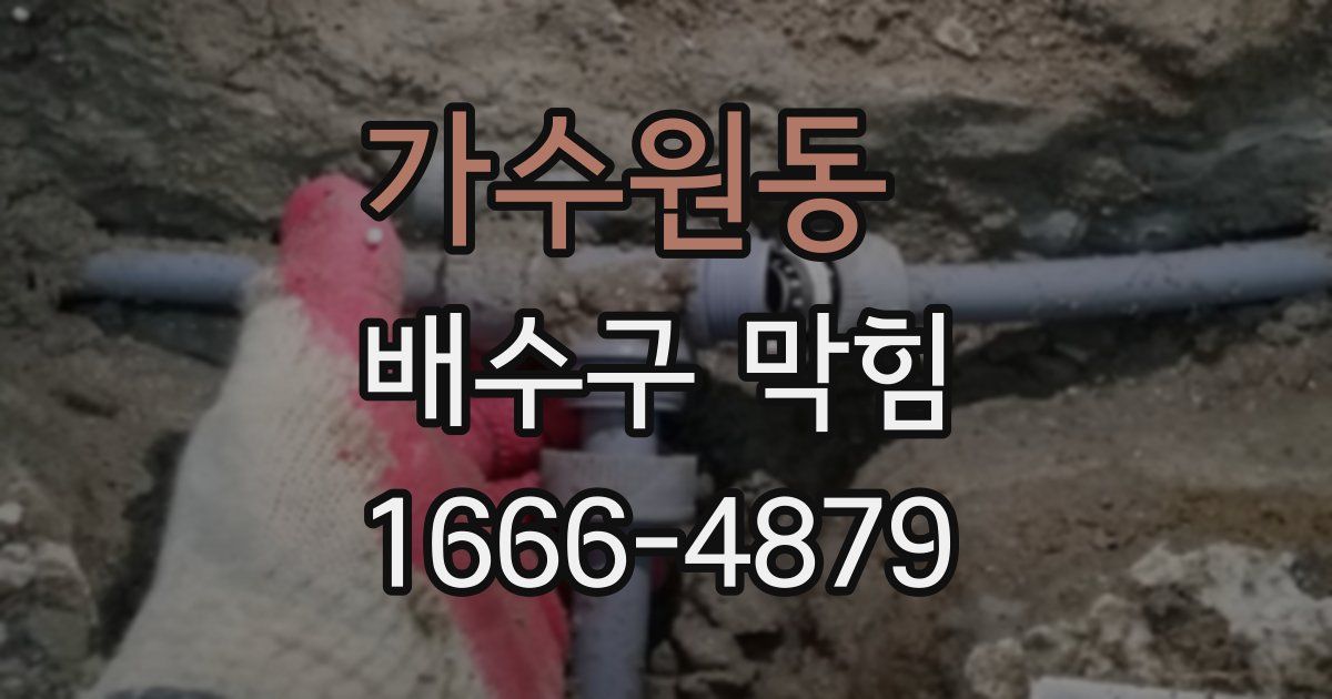 가수원동 배수구 막힘