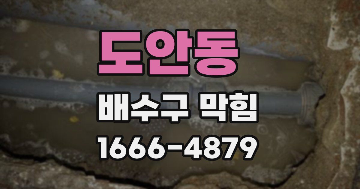 도안동 배수구 막힘
