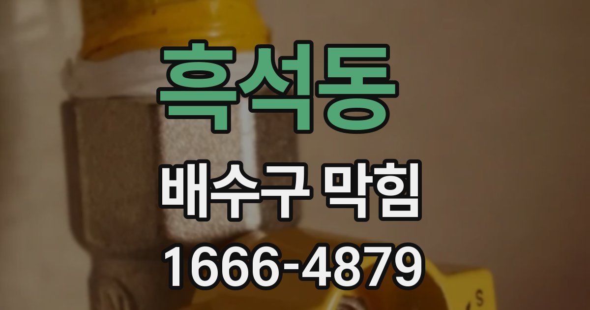 흑석동 배수구 막힘