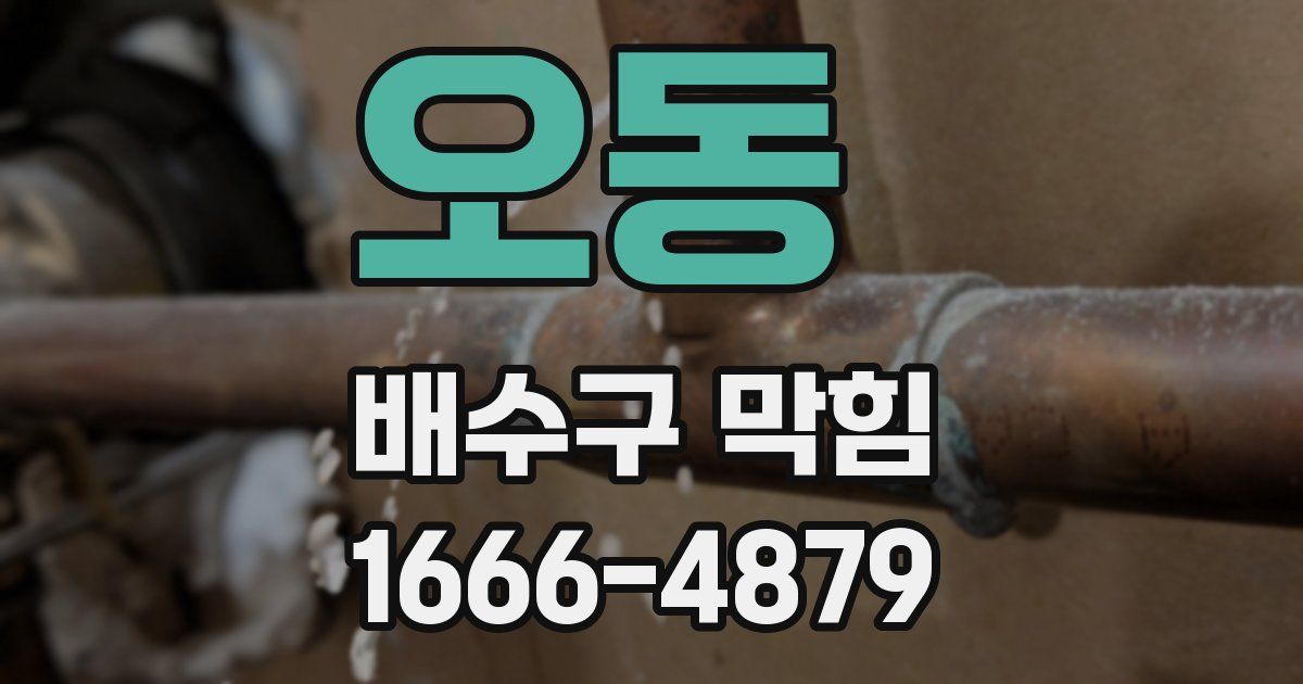 오동 배수구 막힘