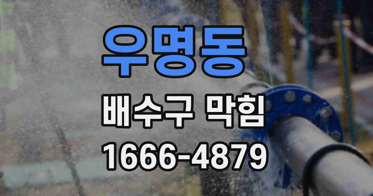 우명동 배수구 막힘
