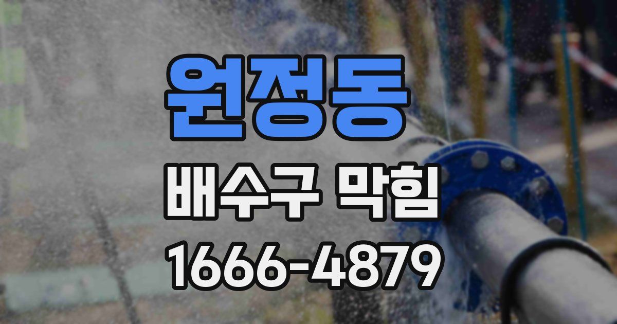 원정동 배수구 막힘