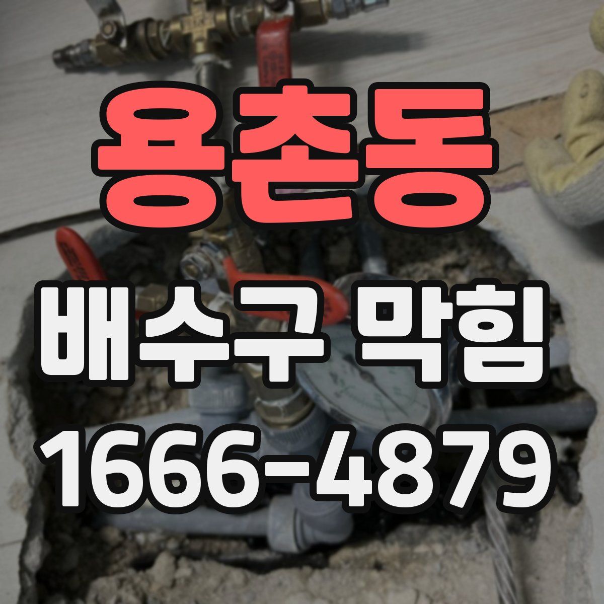 용촌동 배수구 막힘