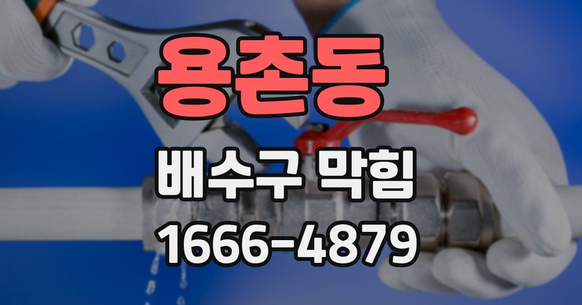 용촌동 배수구 막힘