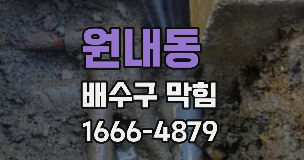 원내동 배수구 막힘