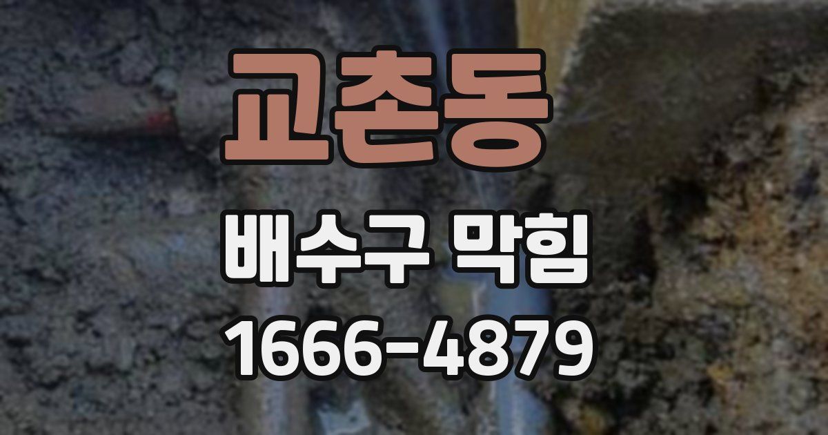 교촌동 배수구 막힘