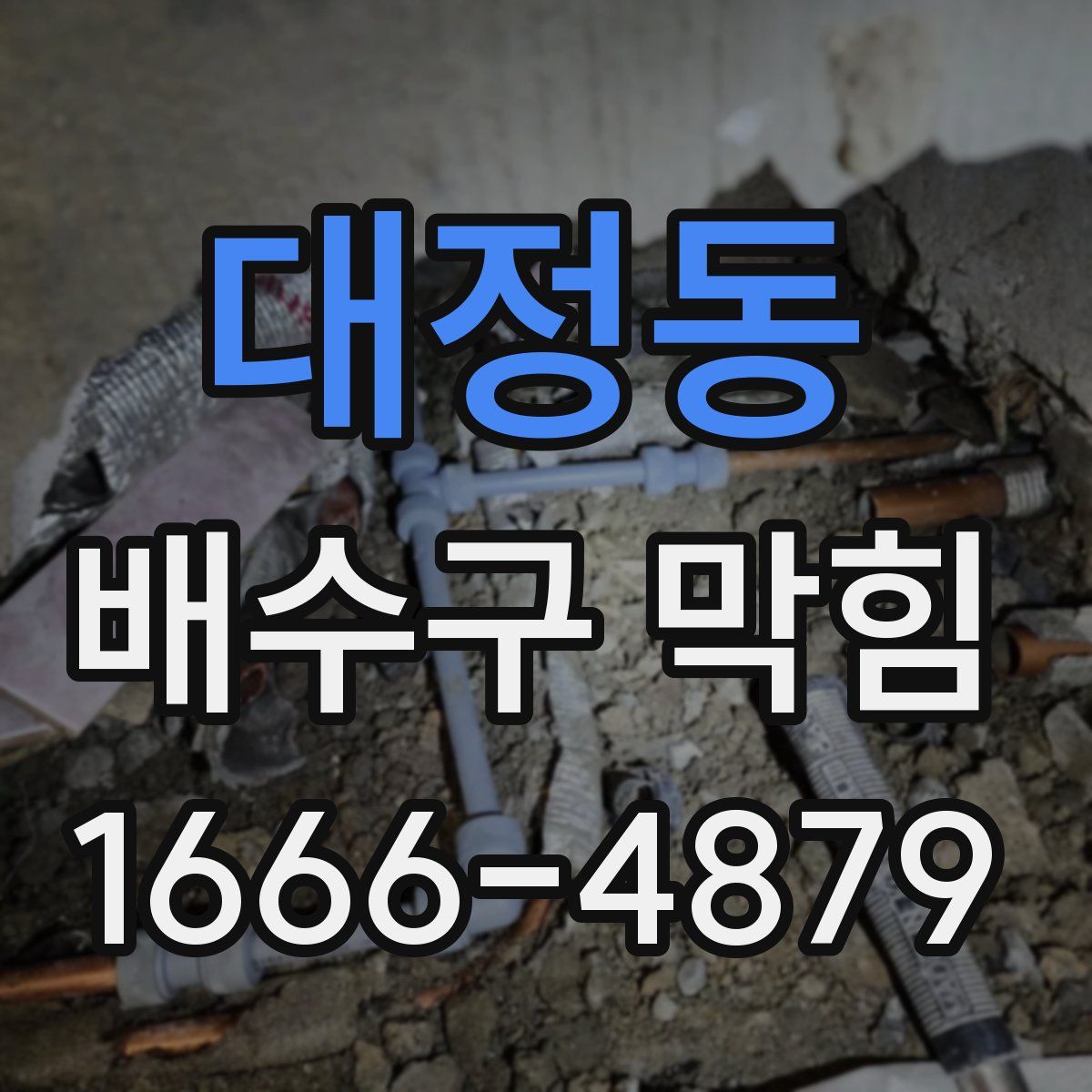 대정동 배수구 막힘