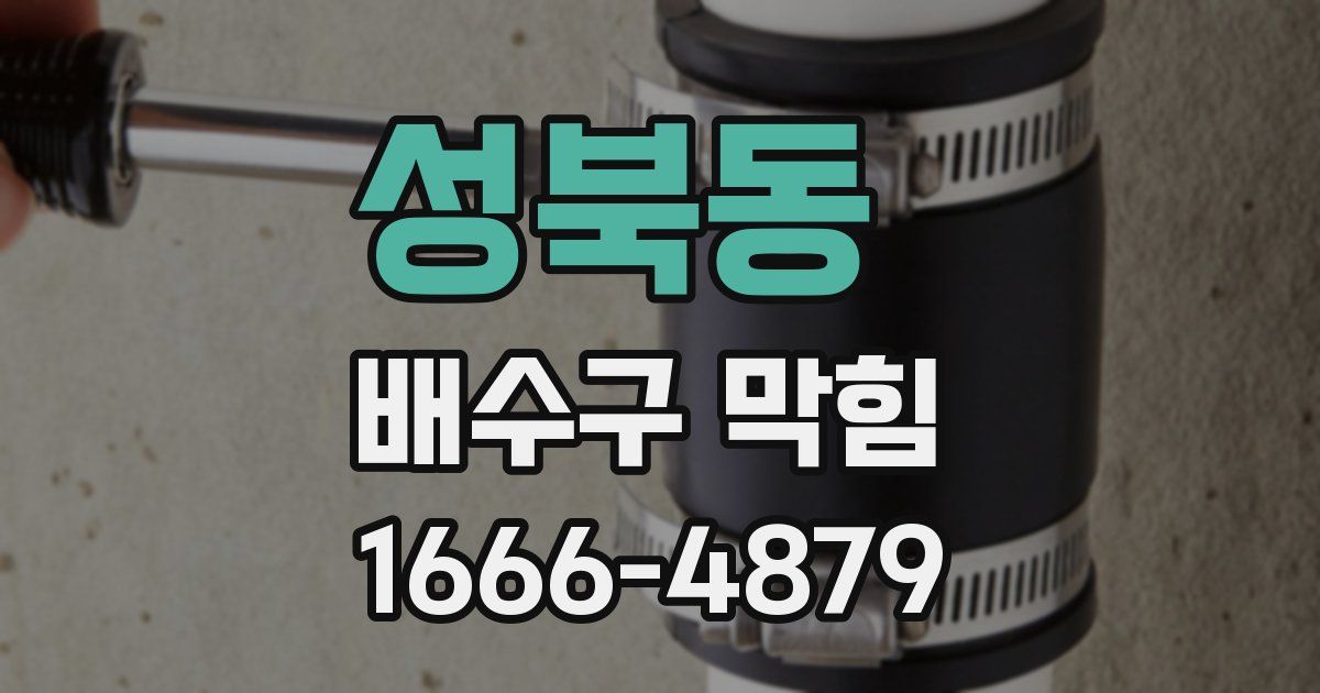 성북동 배수구 막힘
