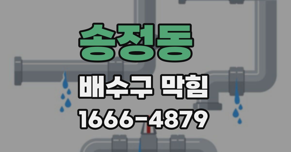 송정동 배수구 막힘