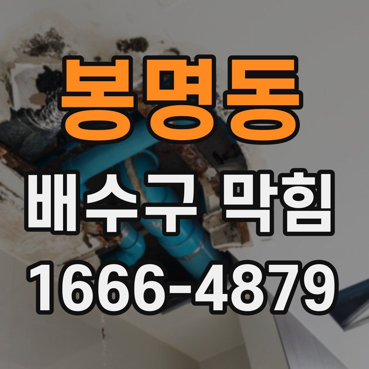 봉명동 배수구 막힘