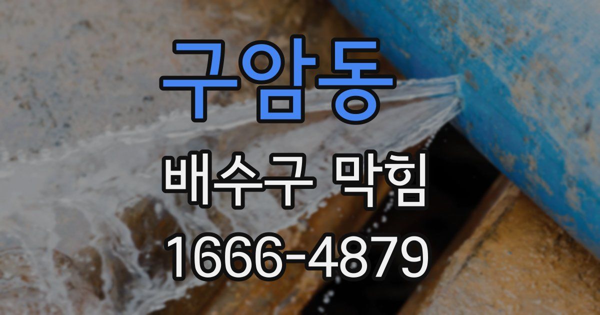 구암동 배수구 막힘