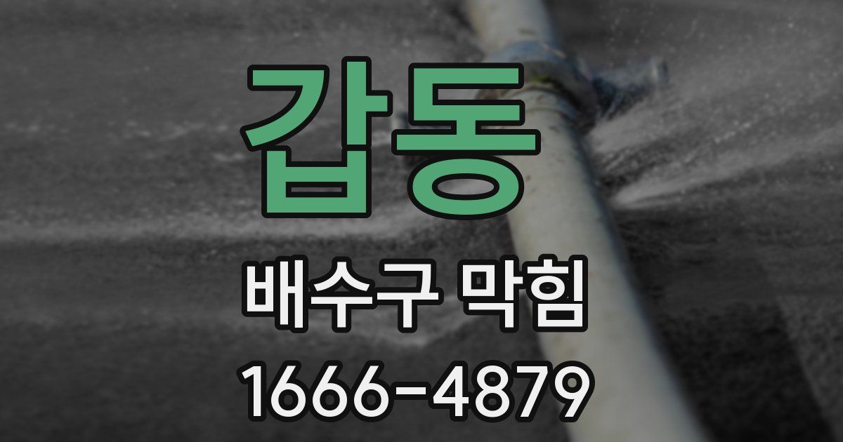 갑동 배수구 막힘