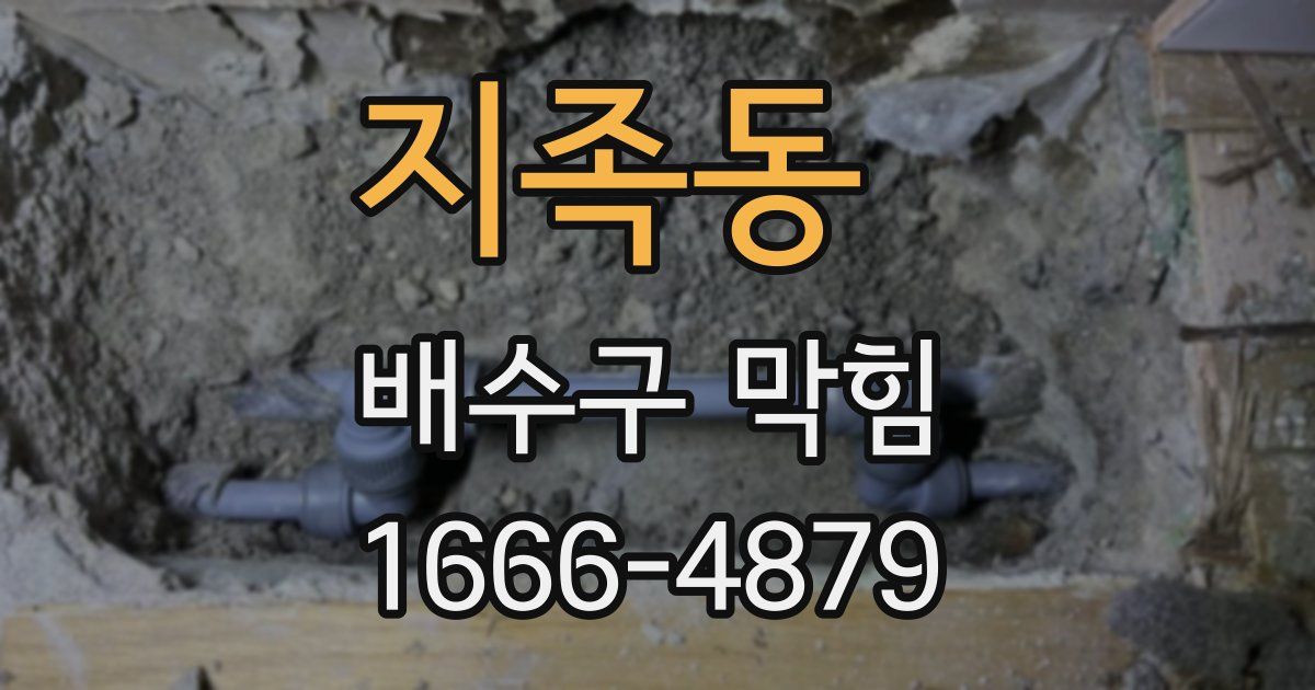 지족동 배수구 막힘