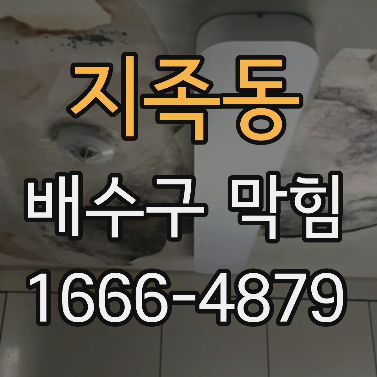 지족동 배수구 막힘