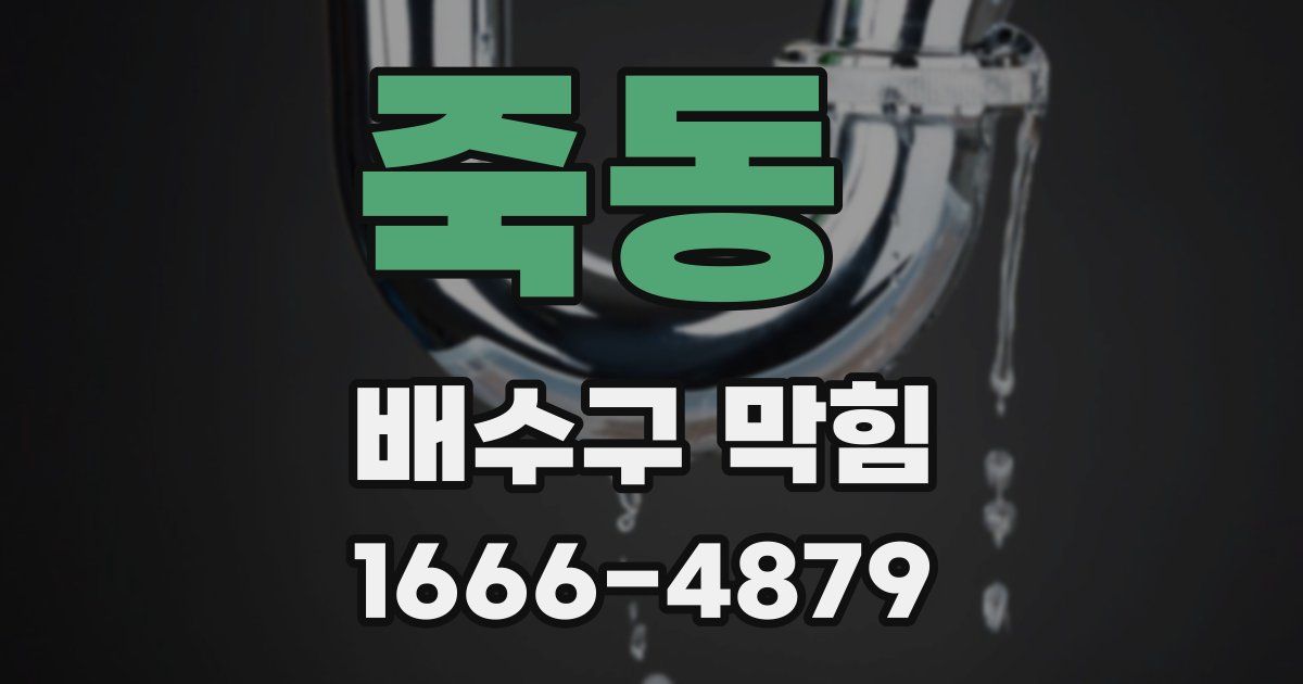 죽동 배수구 막힘