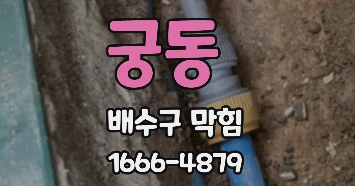 궁동 배수구 막힘