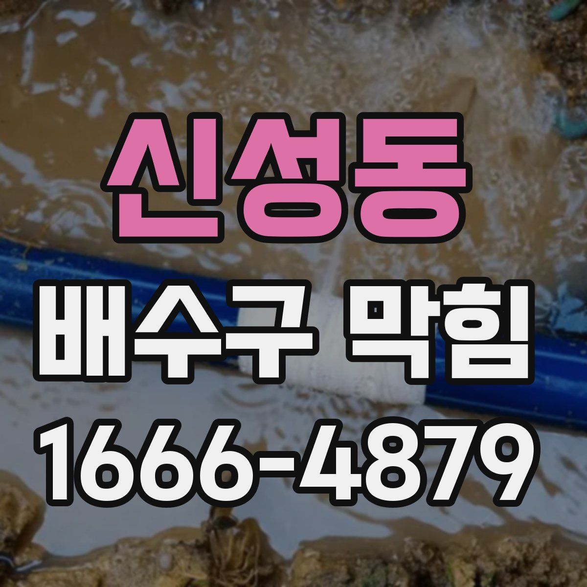 신성동 배수구 막힘