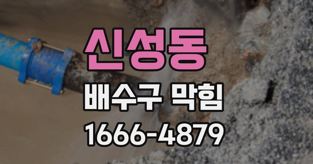 신성동 배수구 막힘