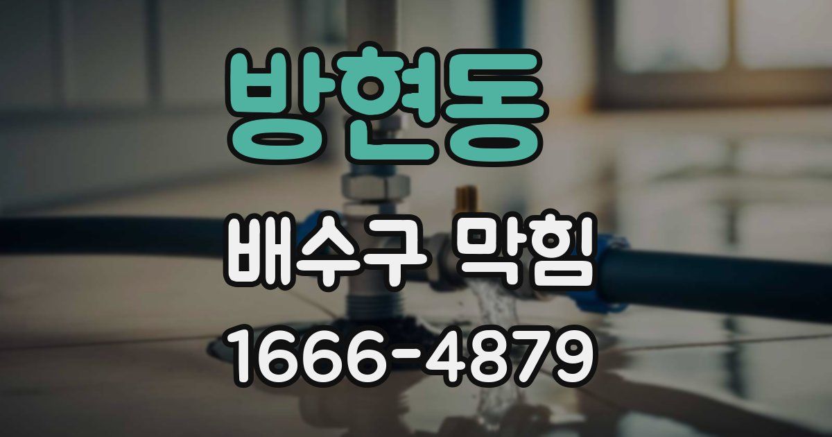 방현동 배수구 막힘