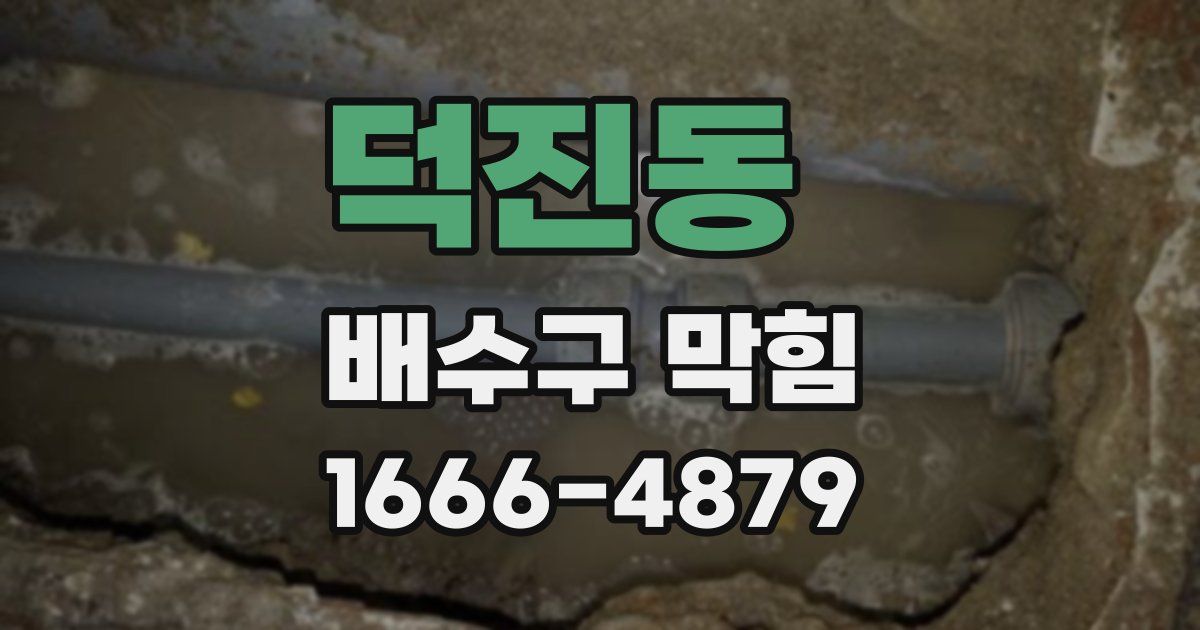 덕진동 배수구 막힘