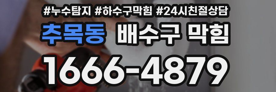 추목동 배수구 막힘