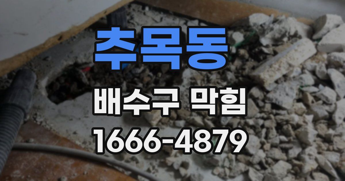추목동 배수구 막힘