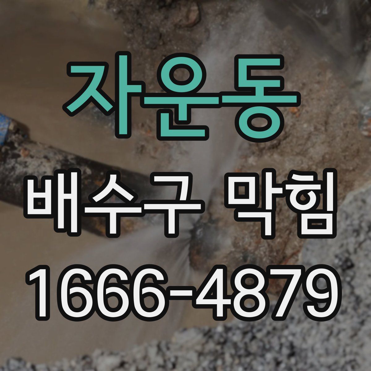자운동 배수구 막힘
